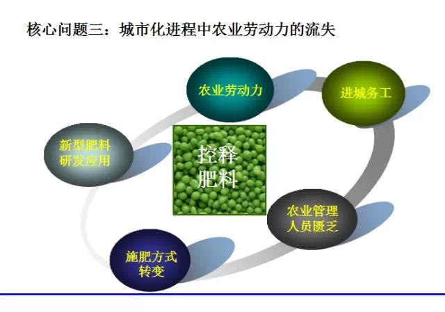 城市化进程中农业劳动力的流失