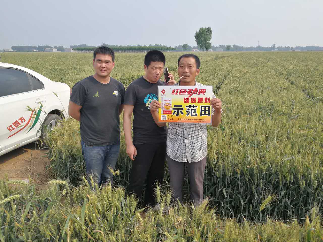 老司机视频污APP施用老司机视频在线观看缓释肥，效果好！