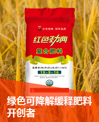 老司机视频在线观看会员找回密码